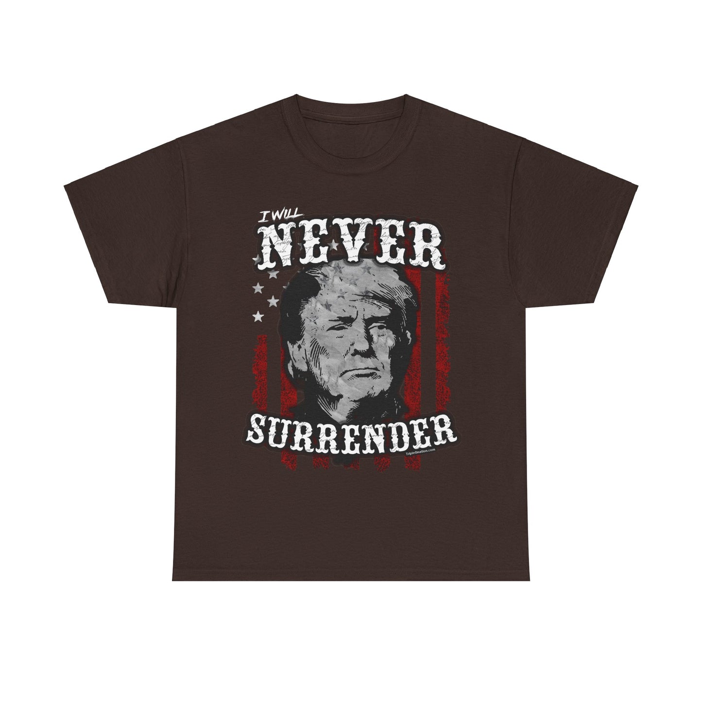 Never Surrender