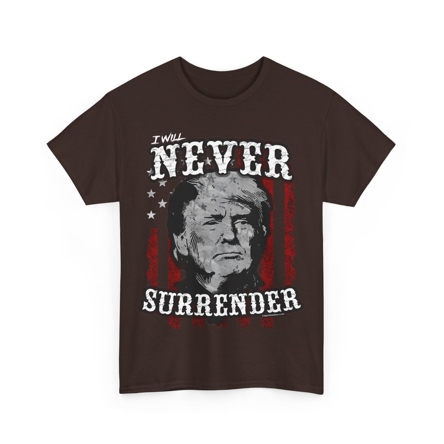 Never Surrender